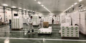 plataforma Olano R455A