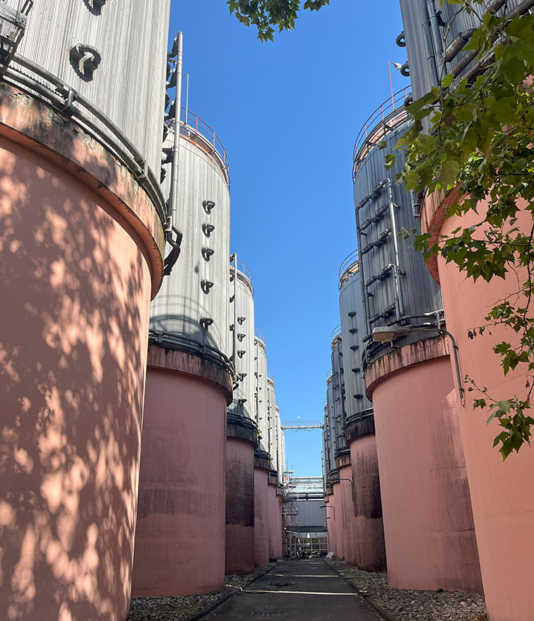 kronenbourg_friogel_neo