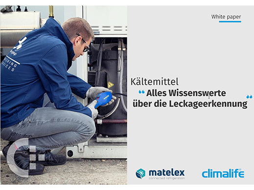White paper Leckageerkennung