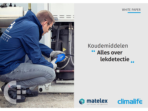 White paper leakdetectie